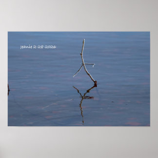 Stick in the water poster