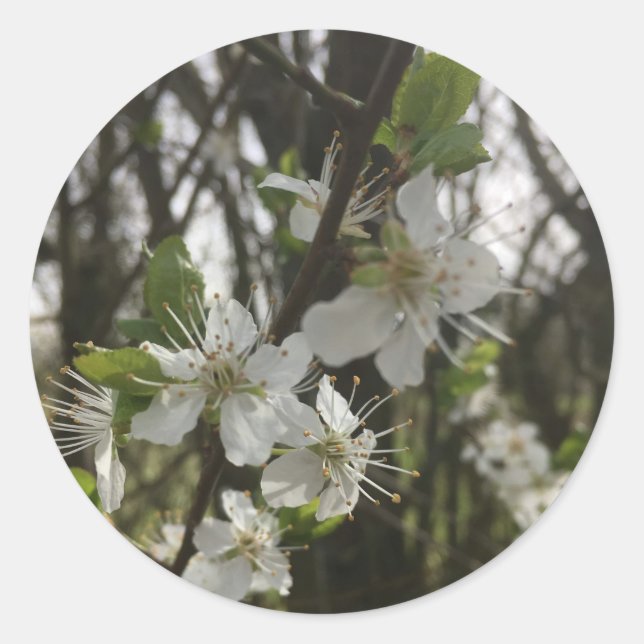 STICK IT - PURITY OF HOPE CLASSIC ROUND STICKER (Front)