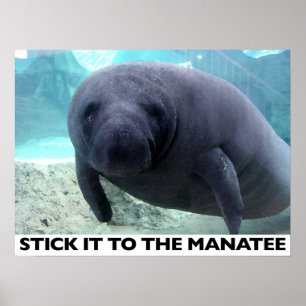 STICK IT TO THE MANATEE poster