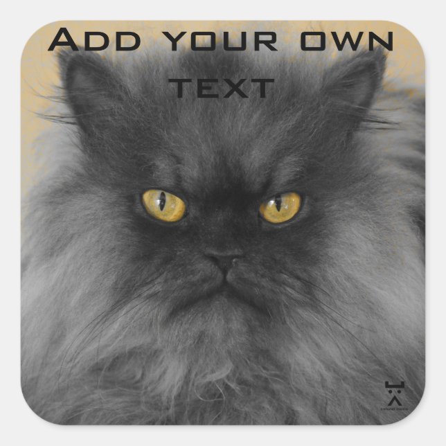 Stick it up your... square sticker (Front)