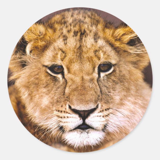 Sticker (Front)