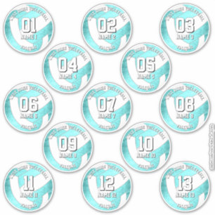 Sticker 13 joueurs de volley-ball assez turquoise