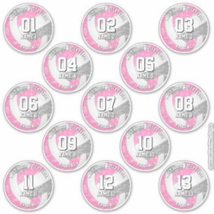 Sticker 13 joueurs de volley-ball boho paisleys rose gris