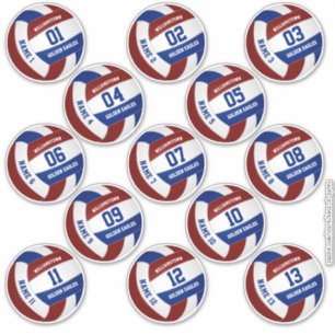 Sticker 13 pièces joueurs nom marron bleu volleyball