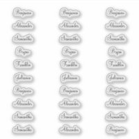 30 Noms D'Hôtes De Moins De 1 Pouce De Large