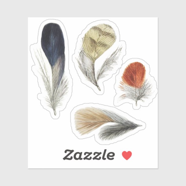 Sticker 4 Plumes d'oiseaux (Feuille)