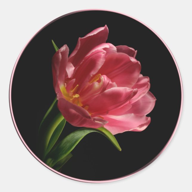 Sticker à enveloppe à double fleur ressort (Devant)