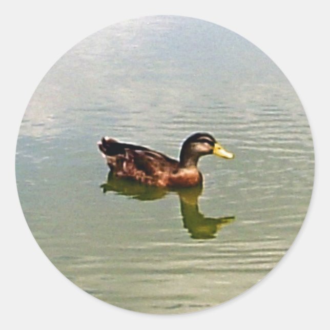 Sticker à enveloppe de canard (Devant)