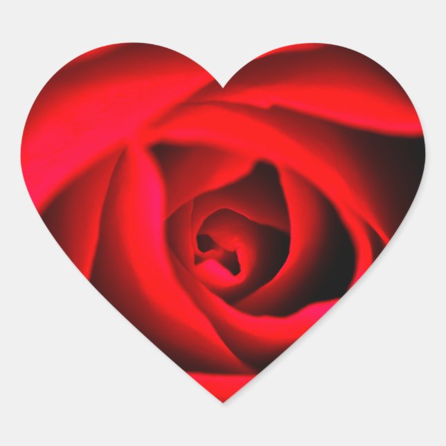 Sticker à fleurs de rose rouge (Devant)