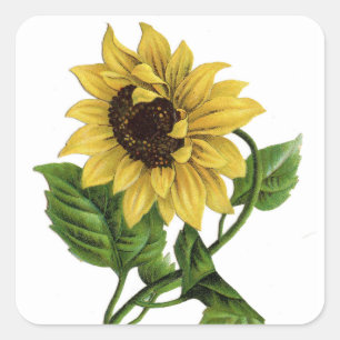 Sticker à fleurs de tournesol jaune Vintage