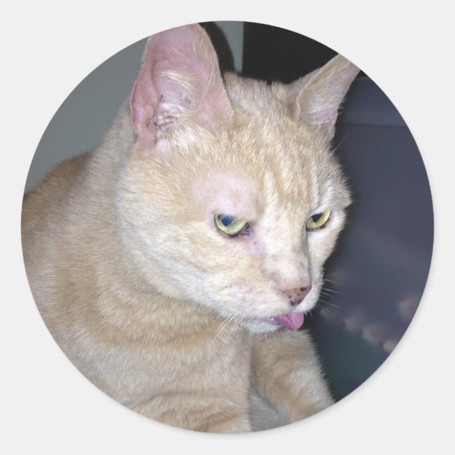 Sticker à framboise puant (Devant)