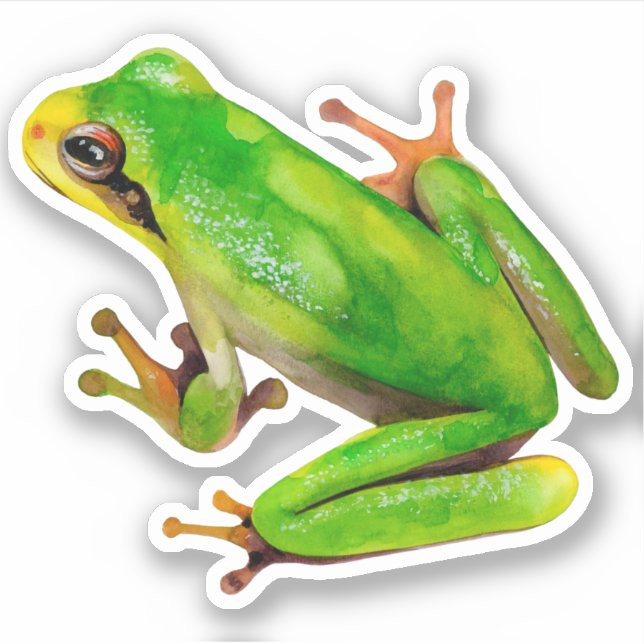 Sticker à la grenouille (Devant)