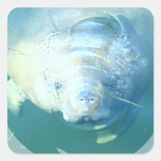 Sticker à main de Pékin (Devant)