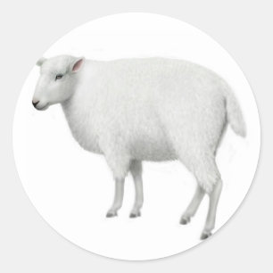 Sticker à mouton