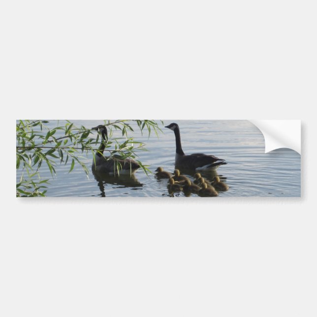 Sticker à pare-chocs d'oies sauvages (Devant)
