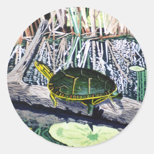Sticker à tortue peinte (Devant)