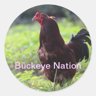 Sticker ABC "Buckeye Nation"