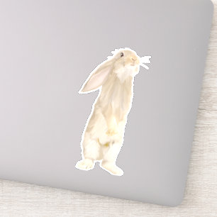 Sticker Adorable Lapin Fluffy