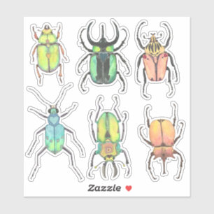 Sticker Aimer Bugs Aquarelle Beetles