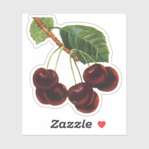 Sticker Aliments vintages de fruits, Cerises mûres d'un ar