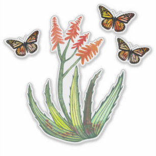 Sticker Alocouleur Aloe Vera Succulent FLowers Papillons