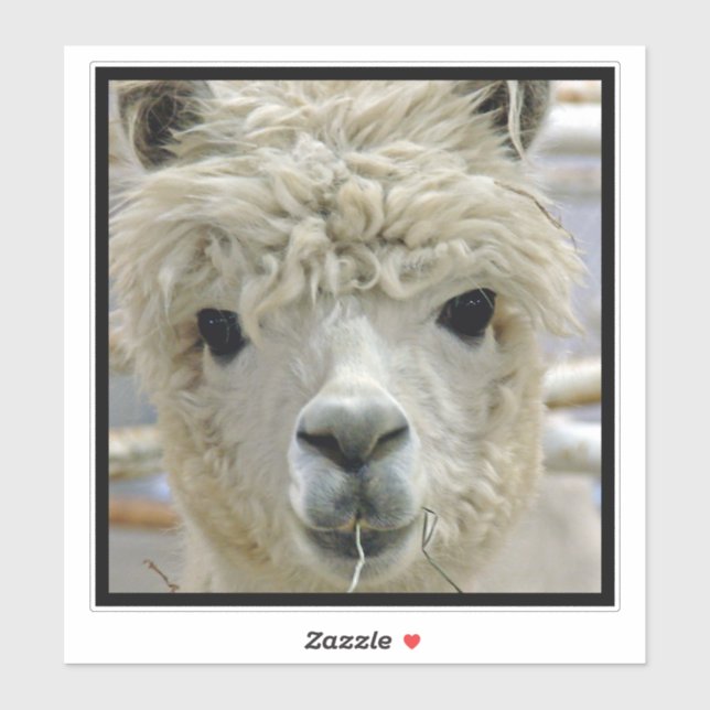 Sticker Alpaca (Feuille)