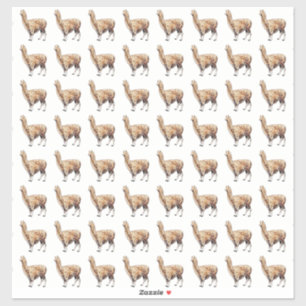Sticker alpaga