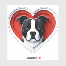 American Staffordshire Terrier Amstaff Amoureux de