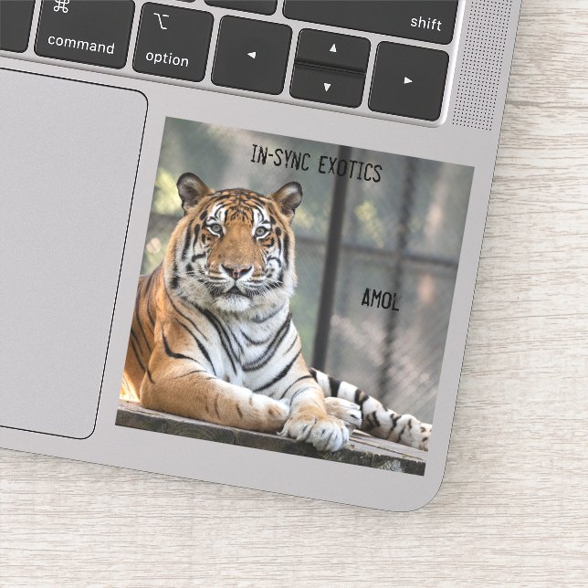 Sticker Amol - (Détail)