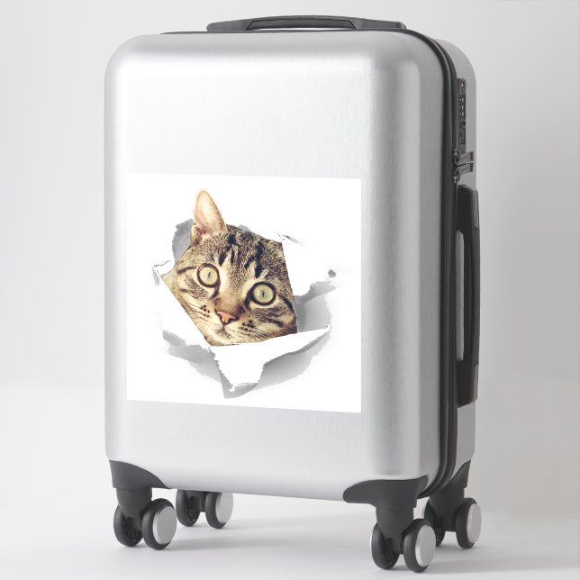 Sticker Amoureux de les chats S'amusent (Sur valise)