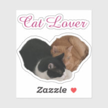 Amoureux des chats avec un cœur de chat