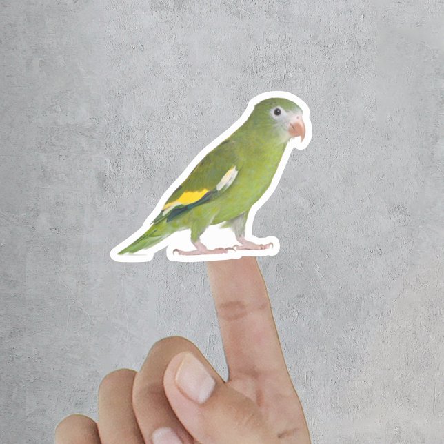Sticker Amusant animal de compagnie découpé photo personna (Funny Pet Cut Out Custom Photo Sticker
)