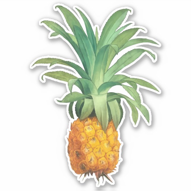 Sticker Ananas (Devant)