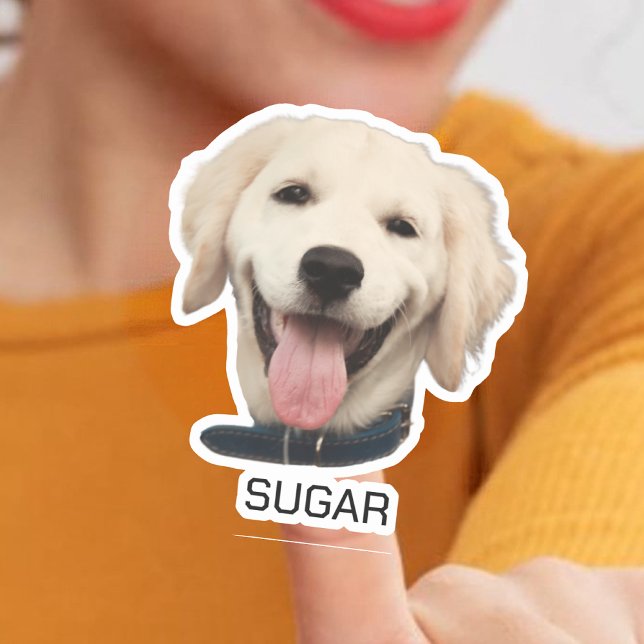 Sticker Animal de chat de chien personnalisé | Photo perso (Créateur téléchargé)