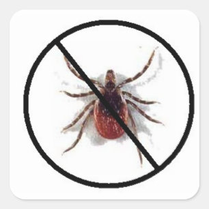 Sticker anti-cliquet