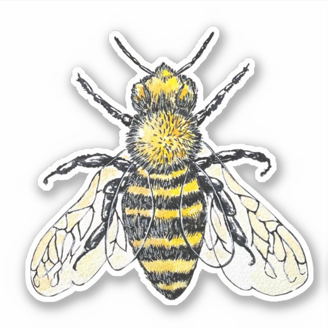 Sticker Aquarelle (Devant)
