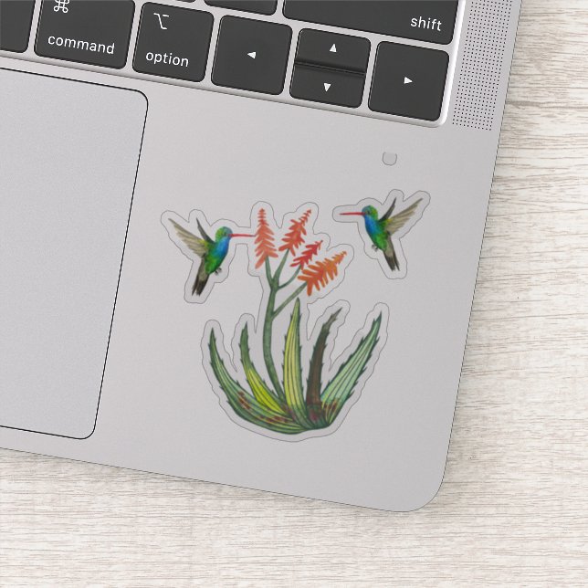 Sticker Aquarelle Aloe Vera Succulent Hummingbirds Blooms (Détail)