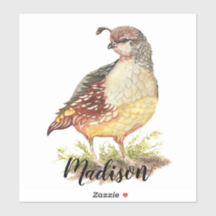 Sticker Aquarelle Californie Quail Bird Nature Art