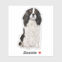 Aquarelle Cavalier King Charles Spaniel
