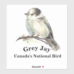 Sticker Aquarelle Gris Jay Faune Oiseau Nature Art