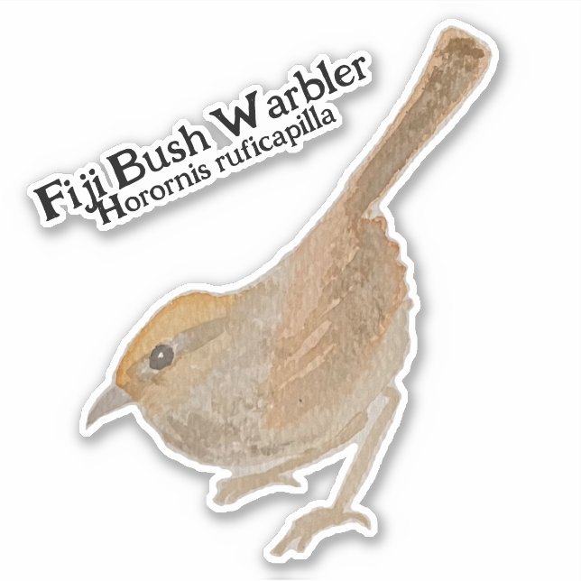 Sticker Aquarelle H. ruficapilla Fiji Bush Paruline (Devant)