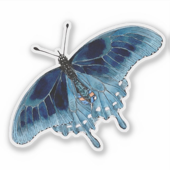 Sticker Aquarelle peinte à la main de papillon bleu (Devant)