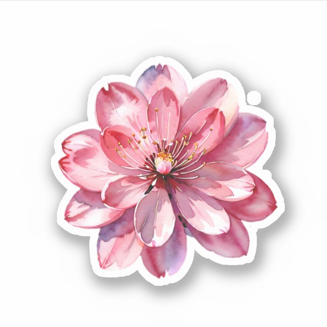 Sticker Aquarelle rose Sakura fleurs de cerisier (Devant)