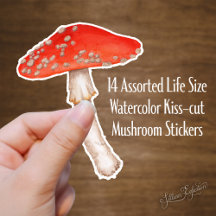 Aquarelle rouge tachetée Champignons