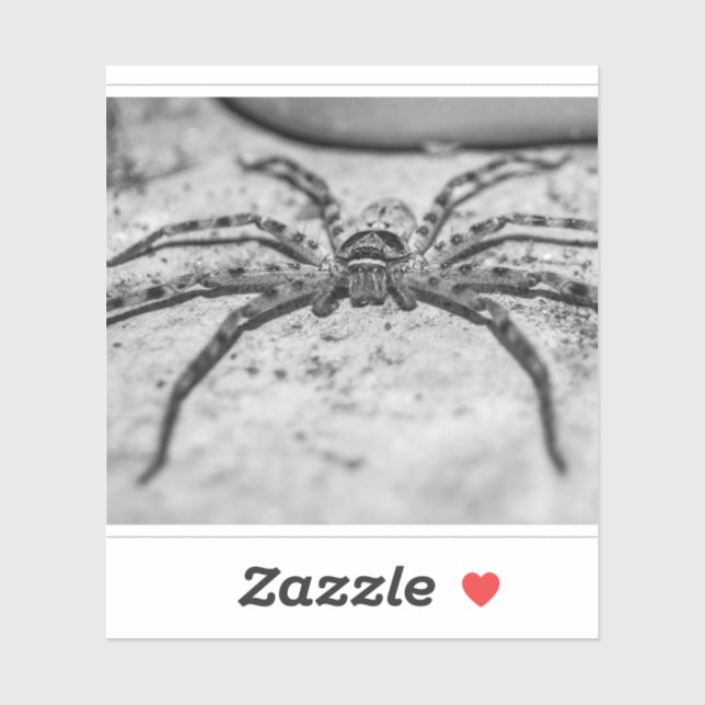 Sticker Araignée chasseuse (Feuille)