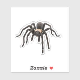 Sticker Araignée Tarantula réaliste