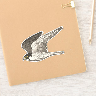 Sticker Art coloré volant de crayon de faucon pérégrin