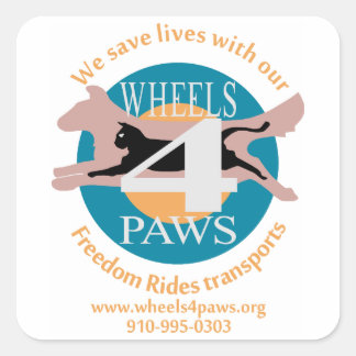 Sticker-Asst. shapes and sizes Square Sticker