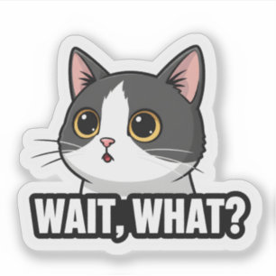 Sticker Attendez, quoi ? Chat Mème Réaction de chat drôl