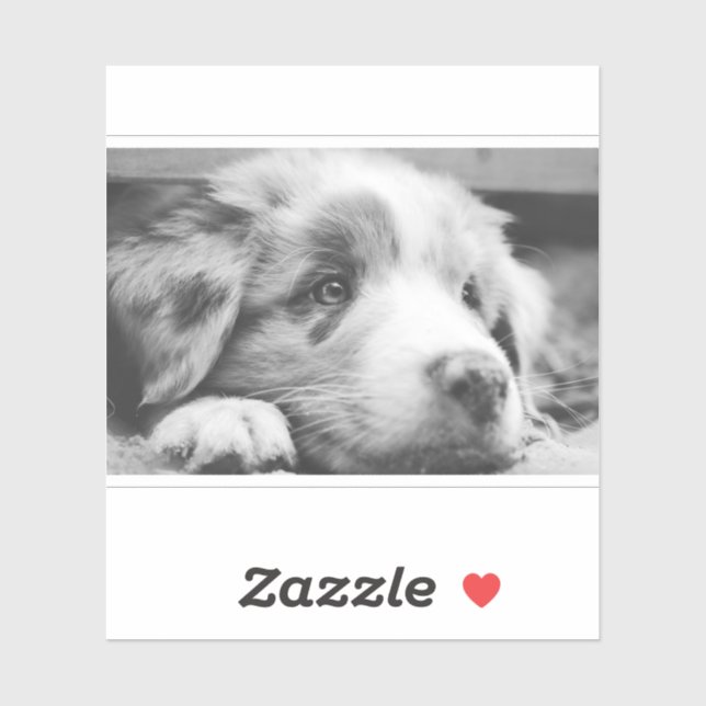 Sticker australian shepherd puppy bw (Feuille)